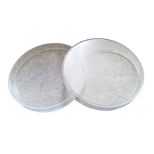 Load image into Gallery viewer, Petri Dish 100 mm Polypropylene (PP) - Pack of 1