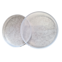 Load image into Gallery viewer, Petri Dish 100 mm Polypropylene (PP) - Pack of 1
