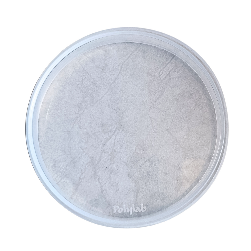 Petri Dish 100 mm Polypropylene (PP) - Pack of 1