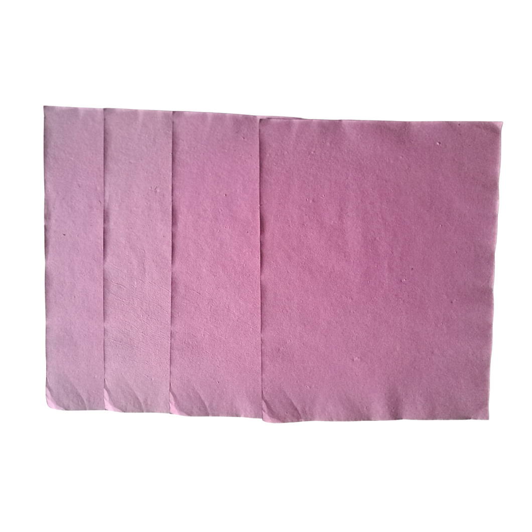 Blotting Paper pack of 10 sheets Water Absorbing Tissues Cleaning Paper Dust Removal Paper for Laboratory Science Experiment