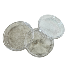Load image into Gallery viewer, Sterile disposable petri plates | 90 mm × 15 mm pack of 10 for laboratory culture dish with lid | dishes for microbiology, bacterial culture, cell culture, research &amp; laboratory use
