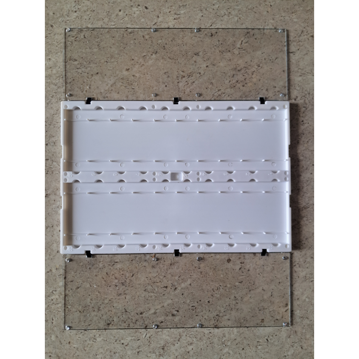 Microscope Slide File for 20 slides with Clear Hinged Lids | Slide Fil ...